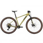 2024 Radon Jealous Al 10.0 Mountain Bike