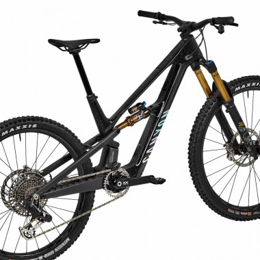 2025 Canyon Spectral:ONfly CF LTD Mountain Bike