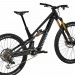 2025 Canyon Spectral:ONfly CF LTD Mountain Bike