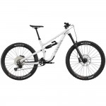 2025 Canyon Torque 6 Mountain Bike