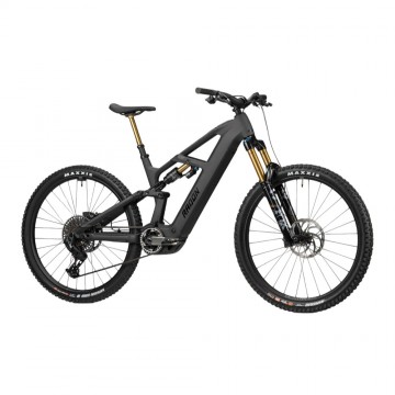 2025 Radon DEFT 10.0 800 Mountain Bike
