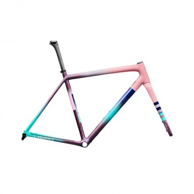 2026 Specialized S-Works Crux Fact 12r Carbon Frameset